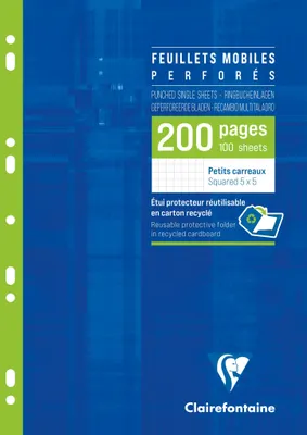 Image de Pochettes pour classeurs à anneaux A4 quadrillées 100 feuilles