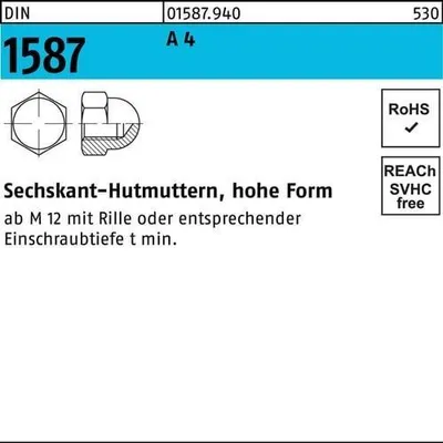 Produktbild von Reyher  Sechskant-Hutmuttern DIN 1587 A 4 M 10 SW 17 A 4 (250 Stück)