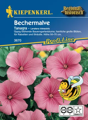 Produktbild von Bechermalve Tanagra | Malvensamen von Kiepenkerl