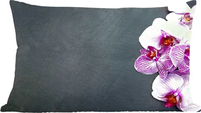 Produktbild von MuchoWow® Zierkissen Sofakissen Wohnzimmer Dekokissen 60x40 cm Orchidee - Blumen - Rosa - Flora - Kopfkissen - Polster mit Foto