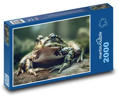 Obrázek produktu pro martinpuzzle - Puzzle 2000 - Zelená žába