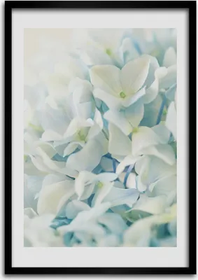 Produktbild von Bild - Bilderrahmen - Foto - 70 cm x 100 cm - MDF - Rahmen - Wandkunst - Hortensie Blume