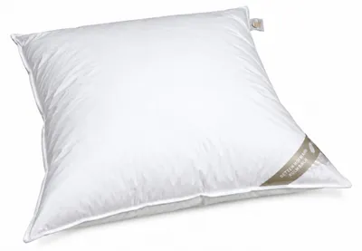 Produktbild von Betten Hofmann Daunenkissen Kopfkissen 80x80cm 600g Kissen 100% neue Daunen waschbar medium