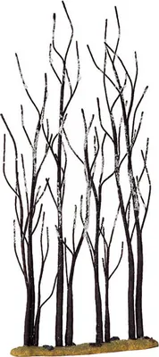 Produktbild von LEMAX - Stand Of Sycamore