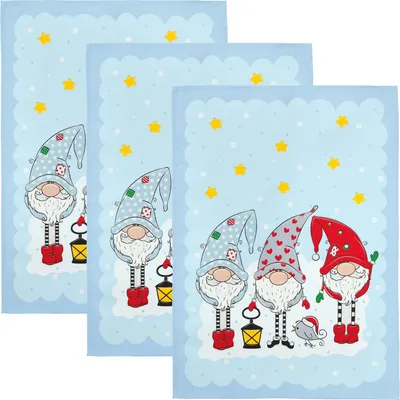Produktbild von Erwin Müller Geschirrtuch 3er-Pack Wichtel 50x70 cm