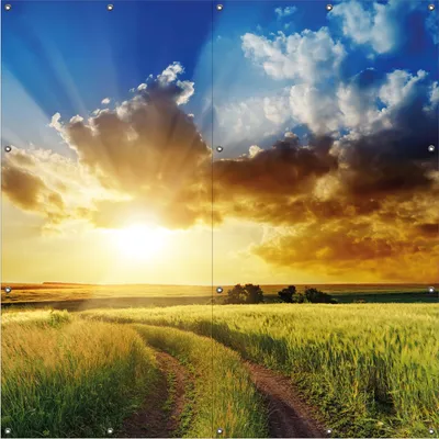 Produktbild von Wallario Outdoor-Poster für Garten oder Balkon, Motiv Feldweg in den Sonnenuntergang, in ca. 180 x 180 cm