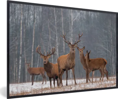 Produktbild von MuchoWow® MuchoWow® Gerahmtes Poster Hirsche - Wald - Winter 90x60 cm - Poster mit zchwarzem Bilderrahmen - Fotorahmen - Foto-Plakat