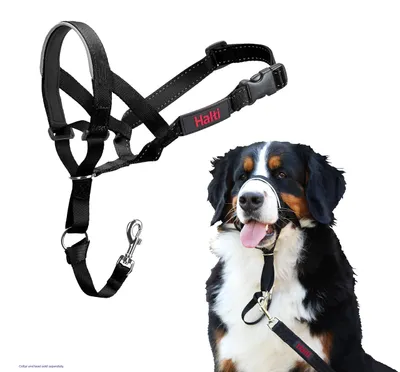 Obrázok produktu pre Nobby Halti : 46-62cm Veľkosť: 46-62cm