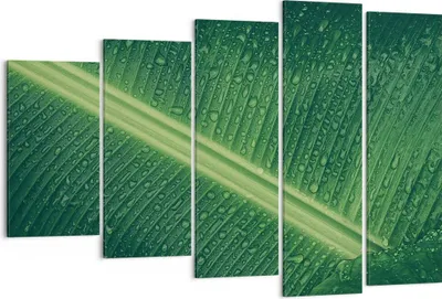 Produktbild von Bild auf Leinwand - Leinwandbild - 5 Teile - Makro Blatt Tropfen - 150x100cm - Wand Bild - Wanddeko - Wandbilder - Leinwanddruck - Bilder - Wanddekoration - Leinwand bilder - Wandbild - EG150x100-4372