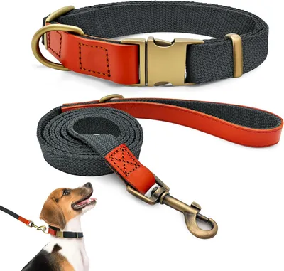 Produktbild von Hundehalsband und Leinen-Set, verstellbar, robust, blau-schwarz, für kleine, mittelgroße und große Hunde, M