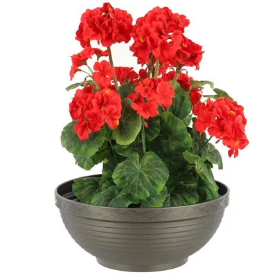 Produktbild von Pflanzschale Runder Pflanztopf 5,5 L Graphit Ø 34 cm Kunststoff, für Blumenarrangements, Höhe 13,6 cm