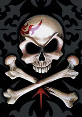 Immagine prodotto di Impero gotico - Teschio - poster stampa