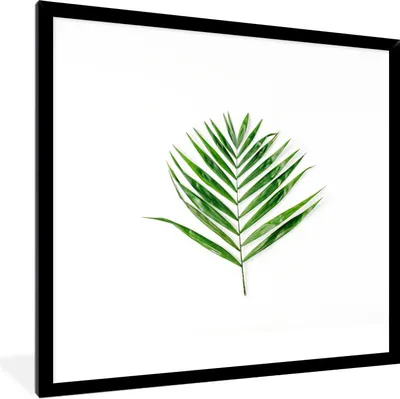 Produktbild von MuchoWow® Gerahmtes Poster Tropisch - Blatt - Grün 40x40 cm - Poster mit Schwarzem Bilderrahmen Wandposter Rahmen Foto Bilder - Mit Rahmen - Wanddekoration Schlafzimmer