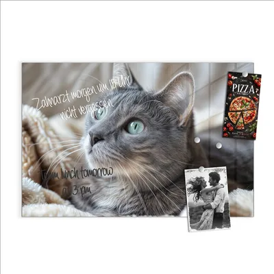 Produktbild von Magnettafel 60x40cm Pinnwand Whiteboard beschreibbar - Kuschelige Katze