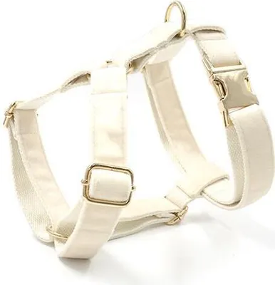 Image de Harnais pour chien Cream S