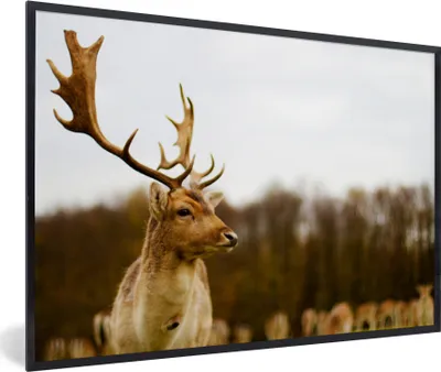 Produktbild von MuchoWow® Gerahmtes Poster Damhirsch - Wald - Herde - Tiere - Natur 30x20 cm - Poster mit Schwarzem Bilderrahmen Wandposter Rahmen Foto Bilder - Kunstdruck - Bild-Poster