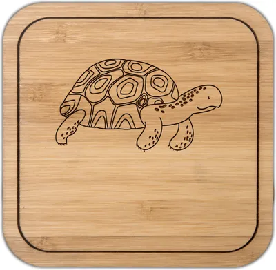 Produktbild von Mr. & Mrs. Panda kork untersetzer Schildkröte Marschieren - Transparent - Geschenk, Coaster, Tischuntersetzer, Schildkröten, gläseruntersetzer, Meer, Neustart, Abenteuer