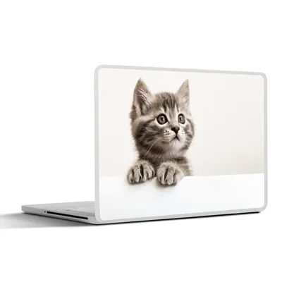Produktbild von MuchoWow® Laptop Aufkleber Sticker Cover Katze - Grau - Tiere 30x22 cm - Laptop-Sticker