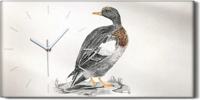 Produktbild von Leinwand Uhr Küche Wohnzimmer Bild 60x30 Zeichnung Tier Vogel Ente Kunst - weiße Hände