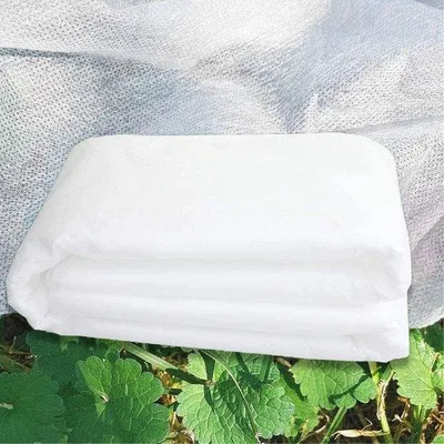 Productafbeelding van Famanu tuinbeschermingsvlies, 30 g/m², 2 m x 5 m - Vliesdoek voor bescherming van planten tegen vorst en andere weersomstandigheden