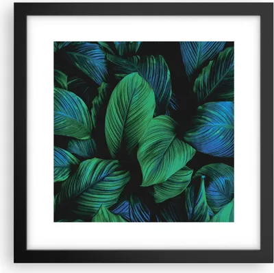 Produktbild von Gerahmtes Poster - Schwarzer Rahmen - Blätter Pflanzen Exotik - 30x30 cm - Wand Bild - Wanddeko - Wandbilder - Kunstposter - Wandposter - Bilderrahmen - Bilder - Kunstdruck - P2BAC30x30-5066