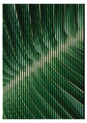 Produktbild von Akustikpaneele mit Digitaldruck Blatt01 19 x 1693 x 2400 mm Blatt Pflanze MDF PET-Fasern Wandpaneele Grün 3 Einzelplatten