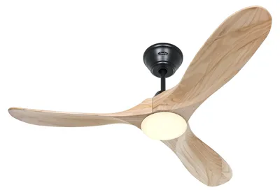 Immagine prodotto di ECO GENUINO L 122, Ventilatore con Luce, CasaFan