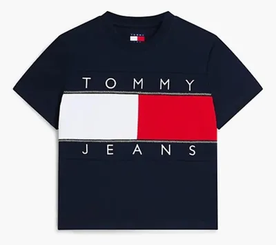 Produktbild von TOMMY JEANS DW0DW22818 REG FLAG SS Blau