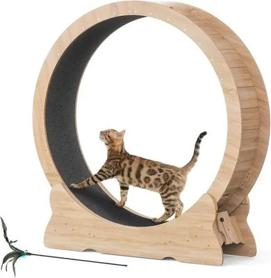 Zdjęcie produktu dla Kattenwiel XL - Bieżnia dla kota - Aktywność wewnątrz domu - Stabilna konstrukcja - Średnica 110 cm - Naturalne drewno