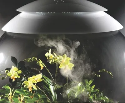 Obrázek produktu pro Terárium biOrb AIR 60 šedá