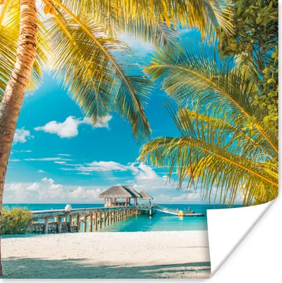 Produktbild von MuchoWow® Poster Tropisch - Strand - Palme 50x50 cm - Wohnzimmerdekoration