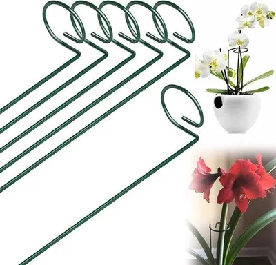 Produktbild von Gartenzier für Pflanzen - Metallischer Gartenstütz für Tomaten, Lilien und Rosen
