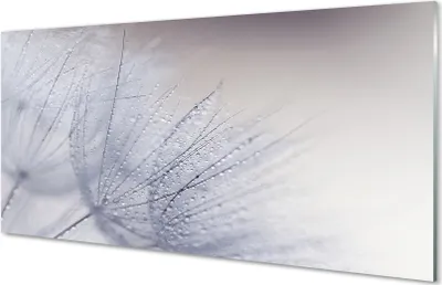 Produktbild von Glasbilder 100x50 Wandkunst Tautropfen Löwenzahn