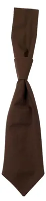 Image de CG Workwear 01360-01 | Cravate Messina / e Oeko-Tex 100 - Couleur : Toffee - Taille : One Size