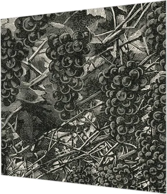 Produktbild von Wandtapete - Dekorative Tapete für Wohnzimmer - Tapetenfolie für Wanddekoration - 250x250 cm - Traubenabdruck