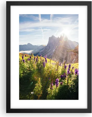 Produktbild von Gerahmtes Poster - Schwarzer Rahmen - Berge Wiese Blumen - 30x40 cm - Wand Bild - Wanddeko - Wandbilder - Kunstposter - Wandposter - Bilderrahmen - Bilder - Kunstdruck - Wandbild - P2BPA30x40-4008