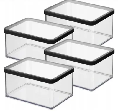 Image de Rotho Loft Lot de 4 boîtes alimentaires 2,25 L