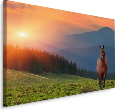 Produktbild von Fabelhafte Canvas LEINWAND BILDER 100x70 cm XXL Kunstdruck Pferd Wild Wiese Wald Sonne