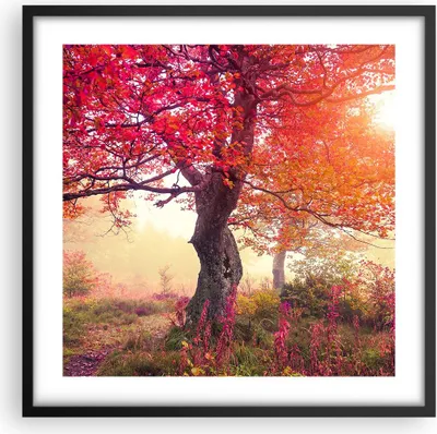 Produktbild von Gerahmtes Poster - Schwarzer Rahmen - Baum Natur Wiese - 50x50 cm - Wand Bild - Wanddeko - Wandbilder - Kunstposter - Wandposter - Bilderrahmen - Bilder - Kunstdruck - Wandbild - P2BAC50x50-3658