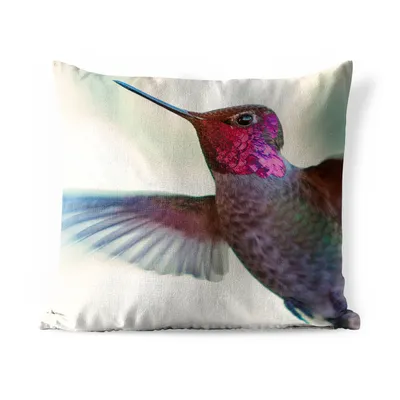 Obrázek produktu pro MuchoWow® Vnější polštář - Ptáci - Kolibřík - růžový -40x40 cm- Odolnost proti povětrnostním vlivům - polštář do obývacího pokoje