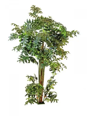 Zdjęcie produktu dla EUROPALMS Palma Fishtail, sztuczna roślina, 305 cm (82600006)