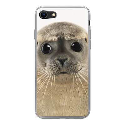 Produktbild von MuchoWow® Handyhülle Schutzhülle Hülle für iPhone SE 2020 Jungen - Robbe - Kinder - Mädchen - Tiere Silikon Softcase Handy Hülle - Kartenbesitzer