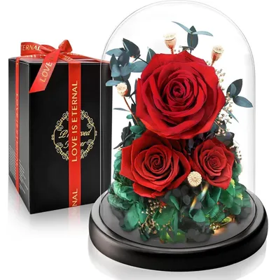 Productafbeelding van Eeuwige roos in glazen vaas met LED-verlichting, rood. Cadeau, decoratie, 20 cm