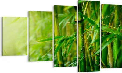 Produktbild von Bild auf Leinwand - Leinwandbild - Bambus Pflanze - 100x60cm - Wand Bild - Wanddeko - Wandbilder - Leinwanddruck - Bilder - Kunstdruck - Wanddekoration - Leinwand bilder - Wandkunst - EG100x60-3558