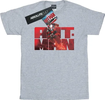 Produktbild von Marvel - T-Shirt für Herren BI11083 (S) (Grau)