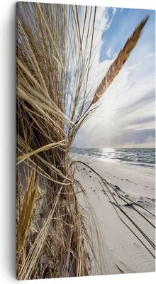 Produktbild von Bild auf Leinwand - Leinwandbild - Einteilig - Küste Perspektive Gras - 45x80cm - Wand Bild - Wanddeko - Wandbilder - Leinwanddruck - Bilder - Wanddekoration - Leinwand bilder - PA45x80-4526