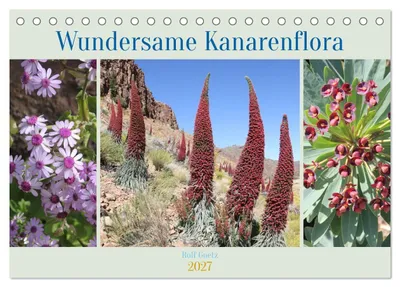 Produktbild von Wundersame Kanarenflora (Tischkalender 2027 DIN A5 quer), CALVENDO Monatskalender
