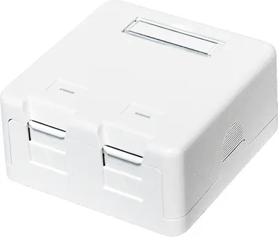 Produktbild von Keystone Leergehäuse - Verteilerdose – 2 Port