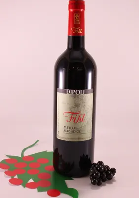 Produktbild von Merlot Fihl - 2021 - Weingut Peter Dipoli