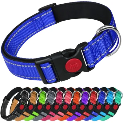 Productafbeelding van Hondhalsband van Nylon met Reflecterende Naden en Neopreen Voering, Verstelbaar, Blauw, Maat S